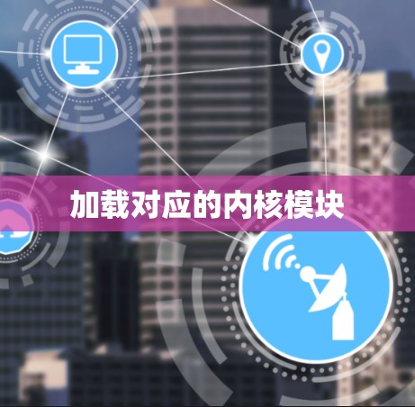 加载对应的内核模块 加载对应的内核模块