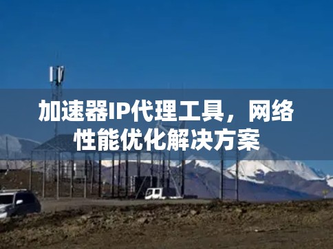 加速器IP代理工具,网络性能优化解决方案 加速器IP代理工具,网络性能优化解决方案