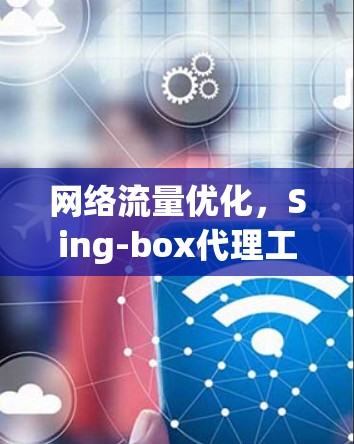 网络流量优化，Sing-box代理工具的应用与性能分析