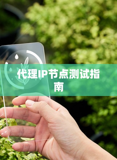 代理IP节点测试指南 代理IP节点测试指南