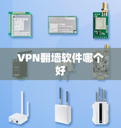 VPN翻墙软件哪个好