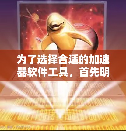 为了选择合适的加速器软件工具，首先明确项目需求