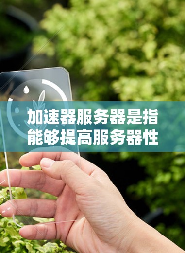 加速器服务器是指能够提高服务器性能、加速网络流量或数据处理的软件或硬件工具。这些加速器可以帮助优化服务器的响应速度、吞吐量和资源利用率，常见于处理高并发、低延迟的网络应用场景