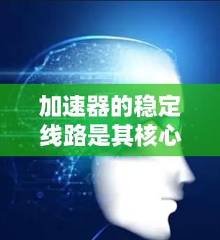 加速器的稳定线路是其核心设计之一，确保粒子束能够稳定加速并准确指向实验目标。以下是对加速器稳定线路的详细分析