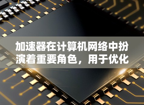 加速器在计算机网络中扮演着重要角色，用于优化数据传输和处理效率。以下是对各类加速器的详细总结，帮助理解它们的工作原理、应用场景以及优势