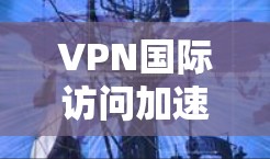 VPN国际访问加速技术探讨,从网络优化到业务创新 VPN国际访问加速技术探讨,从网络优化到业务创新