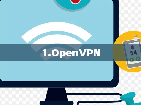 1.OpenVPN 1.OpenVPN