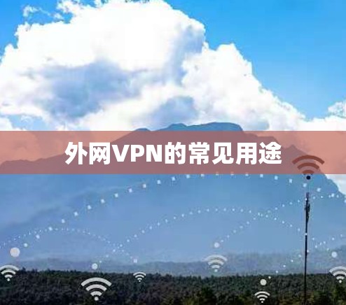外网VPN的常见用途 外网VPN的常见用途