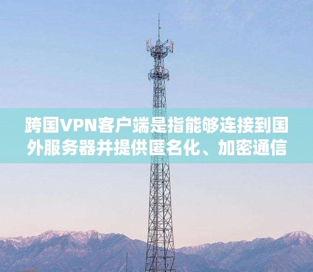 跨国VPN客户端是指能够连接到国外服务器并提供匿名化、加密通信的VPN客户端。这些客户端通常支持多种协议，如OpenVPN、PPTP、L2TP等，并可以帮助用户访问被限制的地区内容或保护隐私