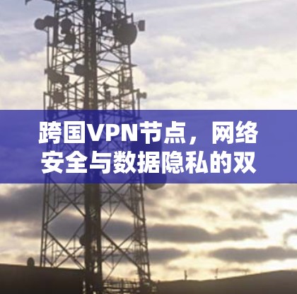 跨国VPN节点，网络安全与数据隐私的双重保障
