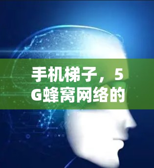 手机梯子,5G蜂窝网络的关键组成部分解析 手机梯子,5G蜂窝网络的关键组成部分解析