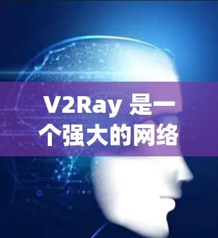 V2Ray 是一个强大的网络代理工具，能够有效提升网络连接速度。以下是使用 V2Ray 的步骤和注意事项