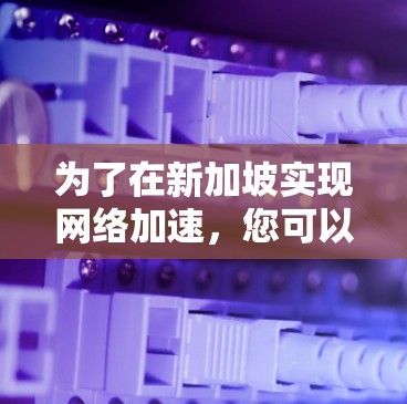 为了在新加坡实现网络加速,您可以按照以下步骤进行 为了在新加坡实现网络加速,您可以按照以下步骤进行