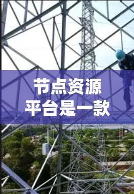 节点资源平台是一款专为计算机资源管理设计的工具，旨在优化资源利用率，提升系统性能。它主要适用于云计算和容器化环境，提供以下关键功能