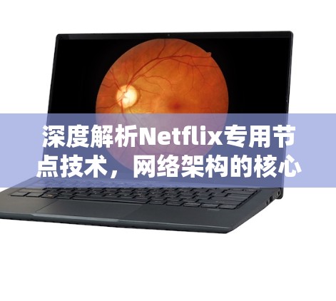 深度解析Netflix专用节点技术,网络架构的核心创新 深度解析Netflix专用节点技术,网络架构的核心创新