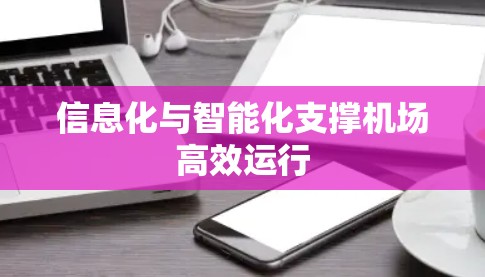 信息化与智能化支撑机场高效运行