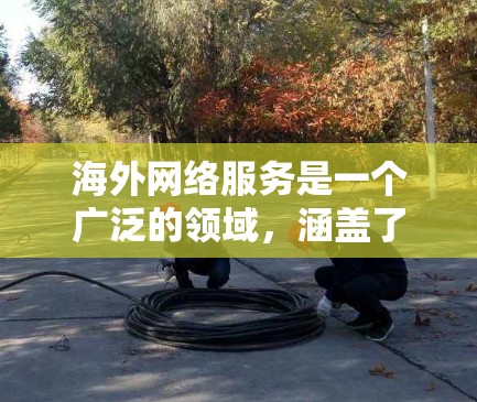 海外网络服务是一个广泛的领域,涵盖了多种网络技术和服务类型。以下是一些常见的海外网络服务及其应用 海外网络服务是一个广泛的领域,涵盖了多种网络技术和服务类型。以下是一些常见的海外网络服务及其应用