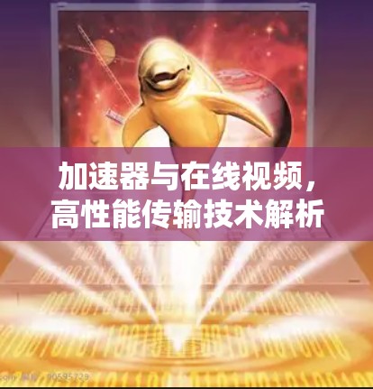 加速器与在线视频，高性能传输技术解析