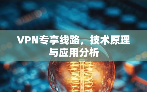 VPN专享线路，技术原理与应用分析