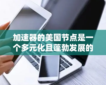 加速器的美国节点是一个多元化且蓬勃发展的生态系统,涵盖了从硬件到软件的各个层面,广泛应用于多个行业。以下是对美国加速器生态系统的详细分析 加速器的美国节点是一个多元化且蓬勃发展的生态系统,涵盖了从硬件到软件的各个层面,广泛应用于多个行业。以下是对美国加速器生态系统的详细分析