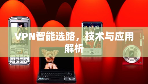 VPN智能选路,技术与应用解析 VPN智能选路,技术与应用解析