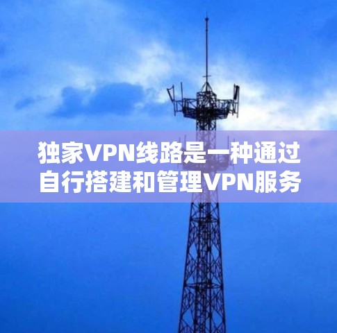 独家VPN线路是一种通过自行搭建和管理VPN服务器,提供高度自定义和安全的网络连接方式。以下是关于独家VPN线路的详细分析 独家VPN线路是一种通过自行搭建和管理VPN服务器,提供高度自定义和安全的网络连接方式。以下是关于独家VPN线路的详细分析