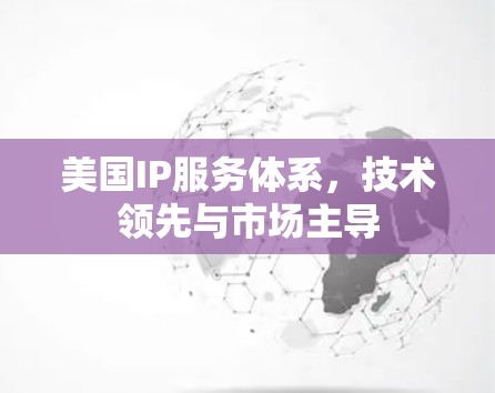 美国IP服务体系,技术领先与市场主导 美国IP服务体系,技术领先与市场主导