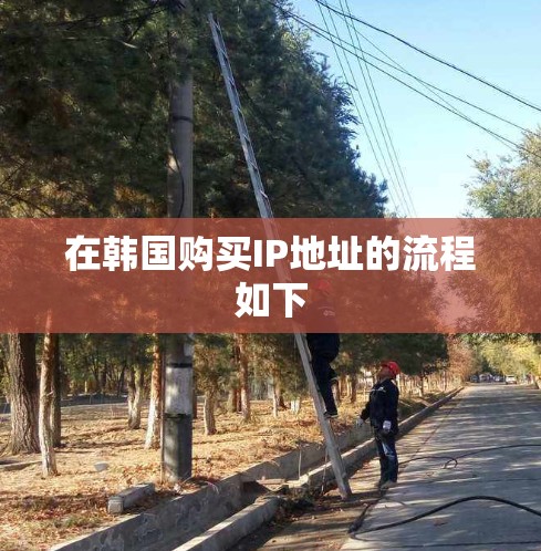 在韩国购买IP地址的流程如下 在韩国购买IP地址的流程如下