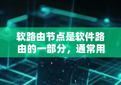 软路由节点是软件路由的一部分,通常用于管理和控制网络流量。与硬路由不同,软路由节点主要负责路由信息的配置、路由策略的制定以及流量的调度和优化。以下是一些关键点 软路由节点是软件路由的一部分,通常用于管理和控制网络流量。与硬路由不同,软路由节点主要负责路由信息的配置、路由策略的制定以及流量的调度和优化。以下是一些关键点