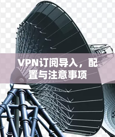 VPN订阅导入,配置与注意事项 VPN订阅导入,配置与注意事项