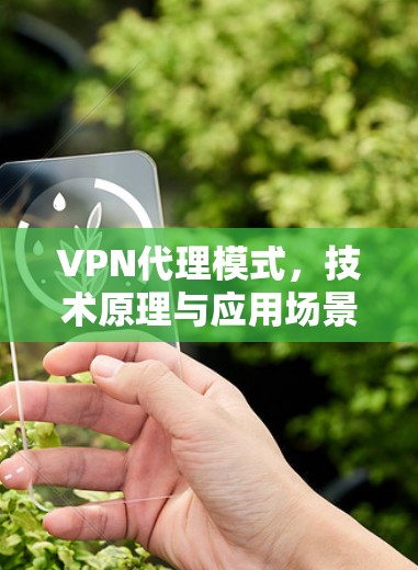 VPN代理模式,技术原理与应用场景分析 VPN代理模式,技术原理与应用场景分析