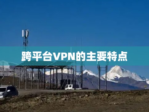 跨平台VPN的主要特点