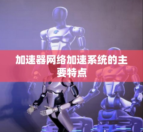 加速器网络加速系统的主要特点 加速器网络加速系统的主要特点