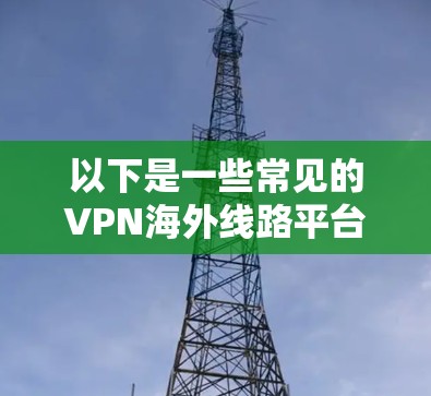 以下是一些常见的VPN海外线路平台和一些推荐 以下是一些常见的VPN海外线路平台和一些推荐