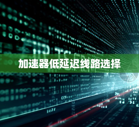 加速器低延迟线路选择 加速器低延迟线路选择