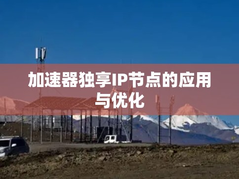 加速器独享IP节点的应用与优化 加速器独享IP节点的应用与优化