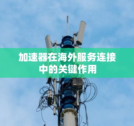 加速器在海外服务连接中的关键作用
