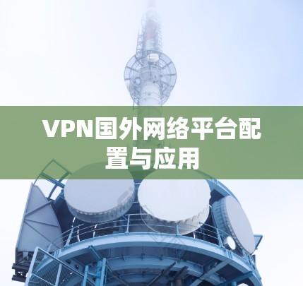 VPN国外网络平台配置与应用