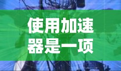 使用加速器是一项复杂且技术性较强的工作，需要严格遵守安全规程和操作规范。以下是加速器的稳定使用教程的总结和建议