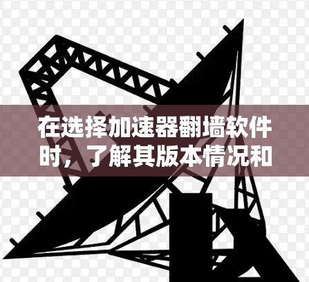 在选择加速器翻墙软件时，了解其版本情况和功能特点非常重要。以下是对几款常见软件的详细分析，帮助你做出明智的选择