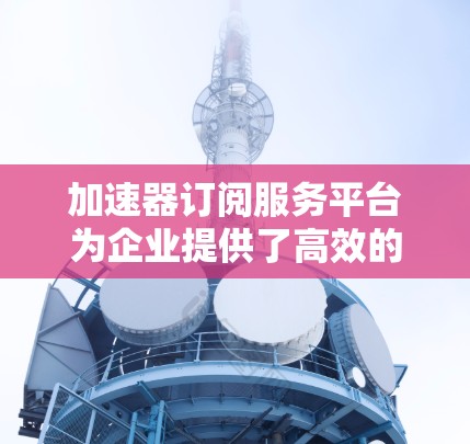 加速器订阅服务平台为企业提供了高效的计算和数据处理能力，帮助提升性能和用户体验。以下是对该平台的详细分析