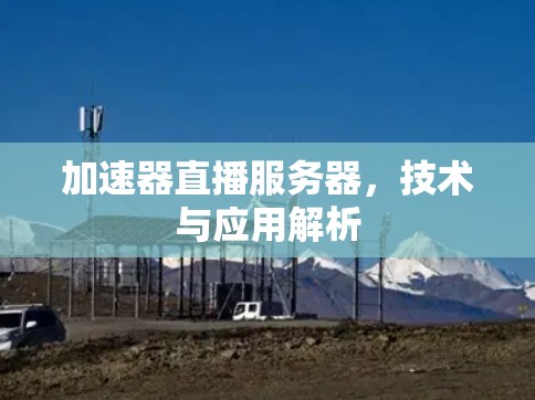 加速器直播服务器，技术与应用解析