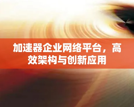 加速器企业网络平台,高效架构与创新应用 加速器企业网络平台,高效架构与创新应用