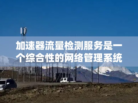 加速器流量检测服务是一个综合性的网络管理系统，旨在监控和优化加速器网络环境。以下是对该服务的详细总结