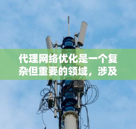代理网络优化是一个复杂但重要的领域，涉及多个方面的优化策略。以下是对代理网络优化的系统化总结，结合了前面的思考过程，提出了一个结构化的解决方案