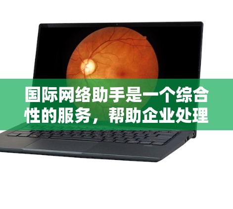 国际网络助手是一个综合性的服务,帮助企业处理跨境事务。以下是对国际网络助手的详细分析和选择建议