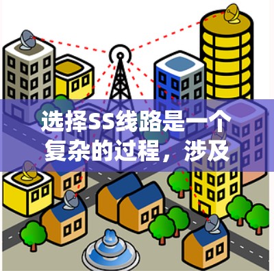 选择SS线路是一个复杂的过程，涉及多方面的考量。以下是对该问题的系统分析和总结