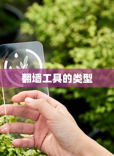 翻墙工具的类型