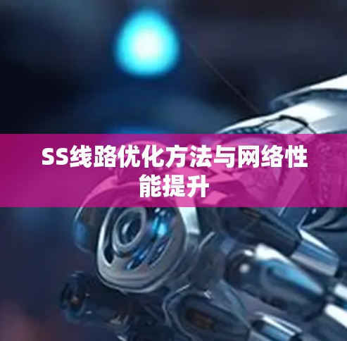 SS线路优化方法与网络性能提升 SS线路优化方法与网络性能提升