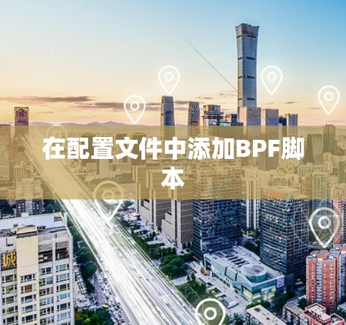 在配置文件中添加BPF脚本